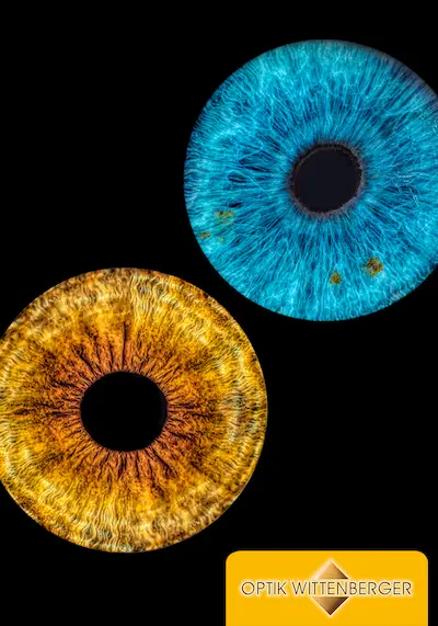 Irisfotografie - Halten Sie Ihre einzigartige Augenkunst fest